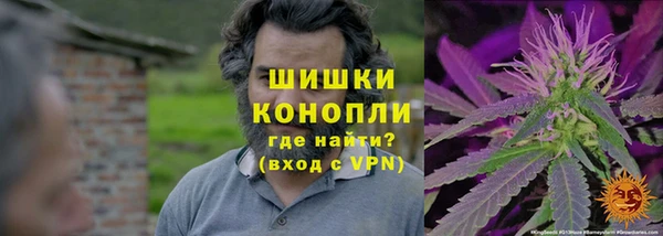 ешки Осинники