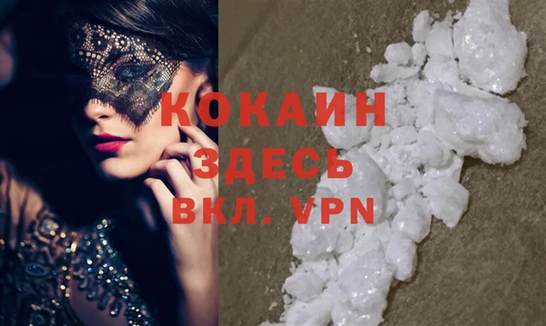 прущие грибы Волосово
